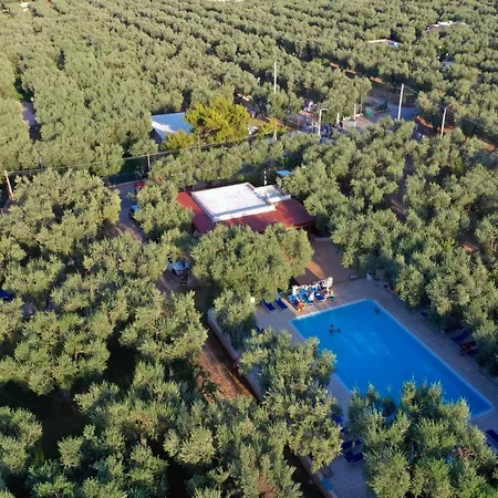 Melograno Featured With Swimming Pool And Private
